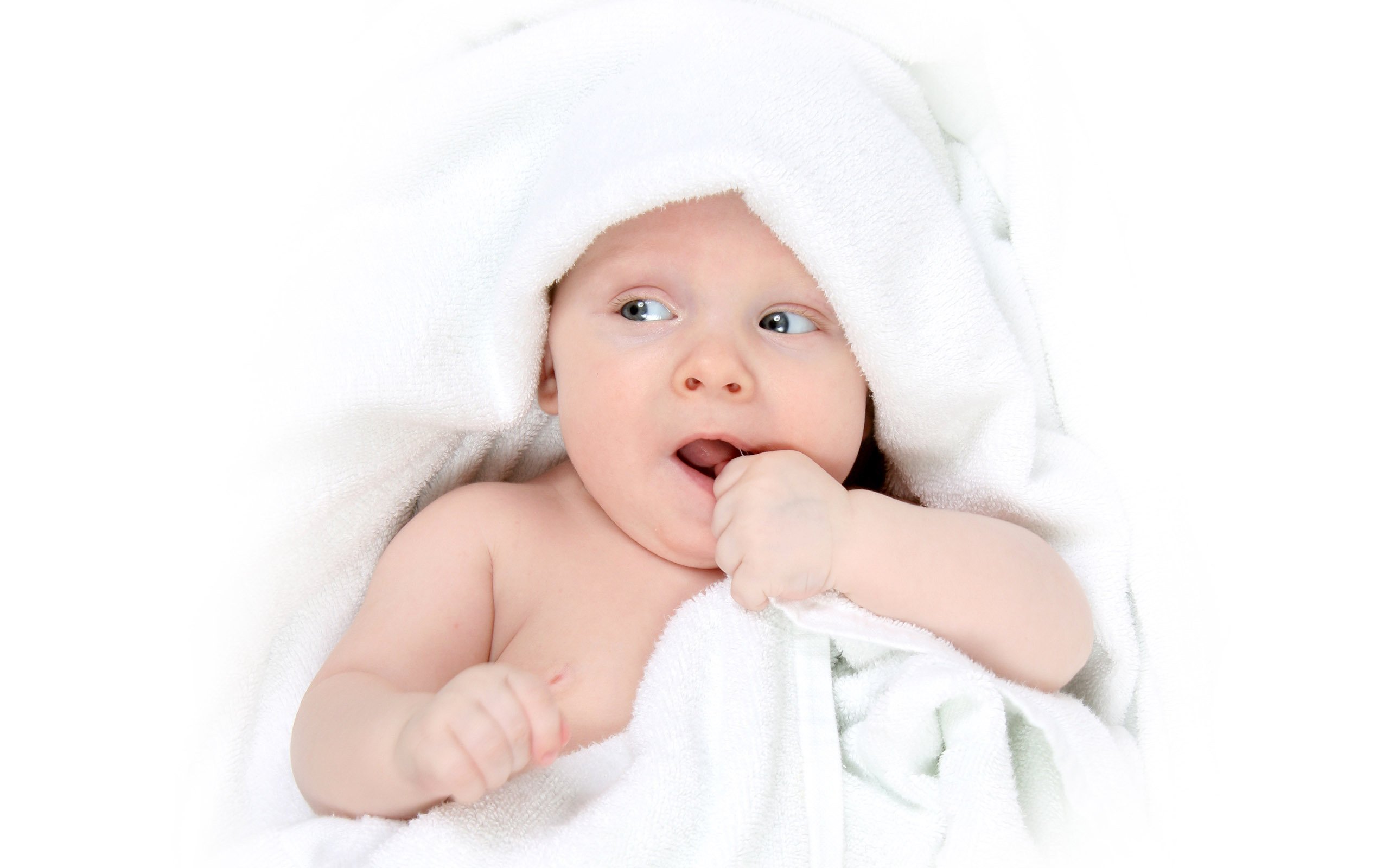 厦门代怀生子助孕机构试管婴儿成功率报告